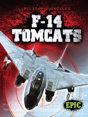 cover image of F-14 Tomcats